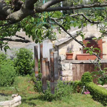 Vicina 게스트하우스