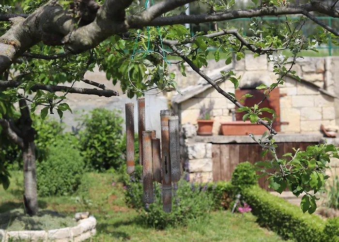 Vicina Πανσιόν