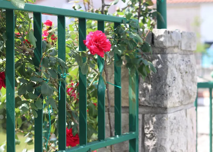 Vicina Πανσιόν Ρόβινι