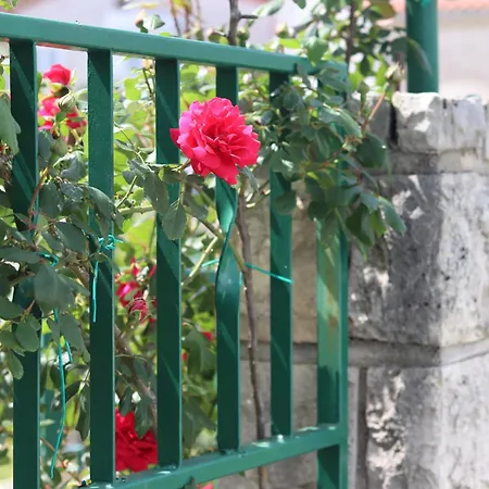 Vicina Maison d'hôtes Rovinj